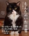 4年10ヶ月の一生を駆け抜けた「猫小人症」の猫　やさ