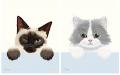 【夏の桃スイーツ】「ねこねこ」より“にゃんともおい