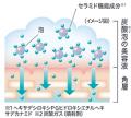 乾燥性敏感肌を考えた「Curel（キュレル）」から　『