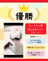 “炙り“アイデアグランプリ決定！使いきりバーナーライ