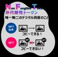 【公共インフラ等地域資源の3D・NFT事業】千葉市動物