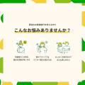 予算1万円の夏旅。夏休みプランの新しい選択肢“キャン