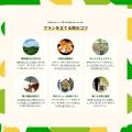 予算1万円の夏旅。夏休みプランの新しい選択肢“キャン