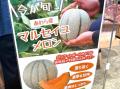 今年もやってきた！「メロンフェア」開催中！