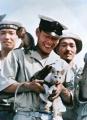 戦場の動物たちの写真をカラー化した『戦中写真が伝え