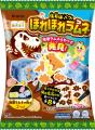 お菓子で発掘！？地層ラムネを割って、化石のお菓子を