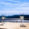 「島影そよぐ海のワイン祭り」 バル松島を6月28日（土