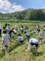 未来の森づくりがスタート　NEDO実証事業×耕作放棄地