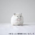 夏休みにぴったり♪レア昆虫が集結する「カブトムutf-8