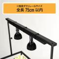 「ビカクシダ」って知ってる？初心者でも育てやすい＆