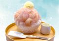 かき氷専門店『しろいくも』梅田あら川の桃を満喫でき