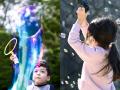 子どもから大人まで夏を満喫できる水をテーマにした入