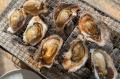 【愛知/知多半島】海辺の“海鮮食べ放題プラン”を新発