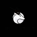 株式会社directX VenturesとGazelle Capital株式会社