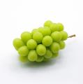 山梨・富士川町発“FUJIKAWA GRAPE”と、干し芋でutf-8
