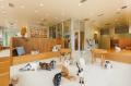今夏”にゃん”とリニューアルOPEN！『Cat Cafe MOFF 高