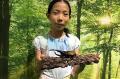 「触る！撮る！驚く！ふれあいカブトムシ・クワガタ昆