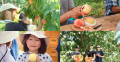 【8～9月開催】桃の収穫体験！＠福島県国見町