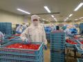 【北海道白糠町】累計販売数20万件突破！ふるさと納税