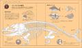 【新生物群発見!?】読んで、眺めて楽しいビジュアル空