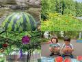 親子連れ～カップルまで幅広い層が楽しめる自然体験が