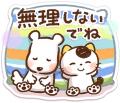 大人気イラストレーター「Honobono」×「タマ＆フutf-8