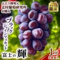 【ふるさと納税お礼品トレンド】ふるさと納税サイトの