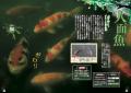 【6月26日発売】ムーがお届けする都市伝説シリーズ最
