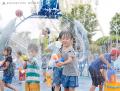いのちがいのちを輝かせる　一瞬の夏を、一生の思い出