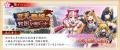 DMM GAMES『戦国†恋姫オンライン ～奥宴新史～』「双