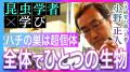 《新YouTube番組》量子力学から生命現象まで、最先端