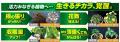 夏の園芸の強力な味方、バイオスティミュラント活力液