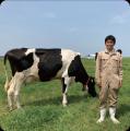 夏休みは、昔ながらの工芸から建築、AIまで幅広い学び