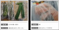 みんなの“冷凍化石”と冷蔵庫のお悩みを解決へ『見て、