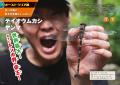 「発売即重版」決定！ YouTuberむし岡だいきの昆虫図