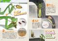 「発売即重版」決定！ YouTuberむし岡だいきの昆虫図