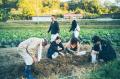 【兵庫県神戸市】生産者とクリエイターによる農漁業体