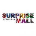 10分お話を聞くだけでアマギフ1,000円！メモリプレイP