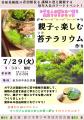 【直方市】苔テラリウム作りイベント開催
