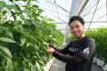 AGRIST、企業の農業参入の相談受付を開始。耕作放棄地