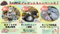 鳥取県産きくらげの魅力を味わえる！「とっとりきくら