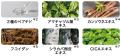 美容成分90%配合・大人の揺らぎ肌に。導入美容ケア発