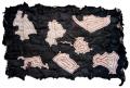 【日本初】複数のアボリジナル女性作家による展覧会「
