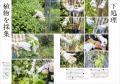 かごなどを編むのにおすすめの植物約50種の紹介や、植