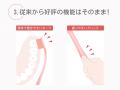 【新発売】大好評の「奥歯のウラまで届く穴あきハブラ