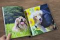 看板犬の写真集を簡単に出版できる「うちのこ写真集」