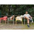 看板犬の写真集を簡単に出版できる「うちのこ写真集」