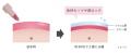 『＠ｃｏｓｍｅベストコスメアワード２０２５ 上半期