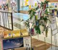 【福岡県小郡市】「七夕の里」で願いごとを叶えよう！