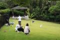 “人と動物にやさしい白浜”へ。ペットツーリズムを新た